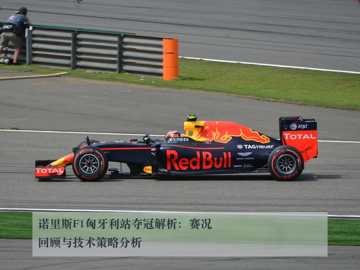 诺里斯F1匈牙利站夺冠解析:赛况回顾与技术策略分析